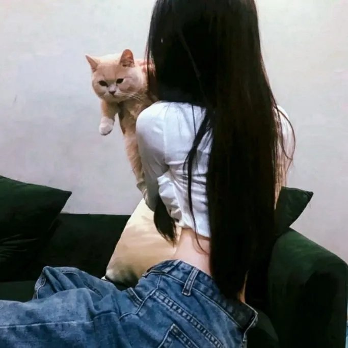 满目皆琳琅
